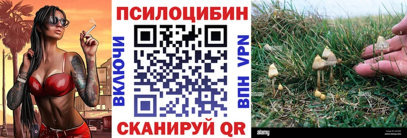 Галлюциногенные грибы мухоморы  купить наркоту  Богучар 